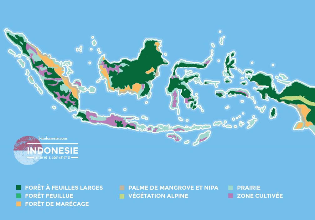 Carte Végétations en Indonésie