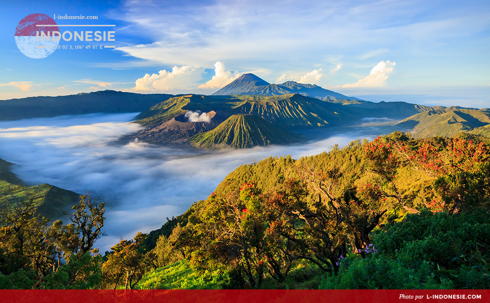 Volcan Bromo dans le Parc National de Tengger Semeru dans Java Est